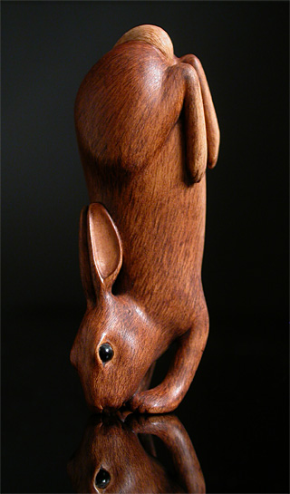 Dancing Rabbit: Boxwood