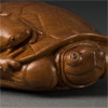 Turtle and Peeper